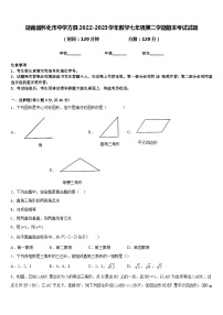 湖南省怀化市中学方县2022-2023学年数学七年级第二学期期末考试试题含答案