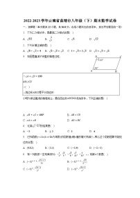 2022-2023学年云南省曲靖市八年级（下）期末数学试卷（含解析）