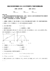 黑龙江哈尔滨市道里区2022-2023学年数学七下期末考试模拟试题含答案