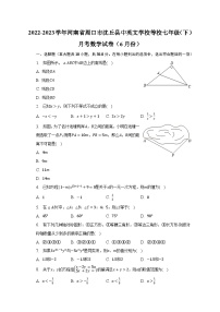 2022-2023学年河南省周口市沈丘县中英文学校等校七年级（下）月考数学试卷（6月份）（含解析）