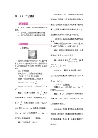 初中数学人教版九年级上册22.1.1 二次函数教案
