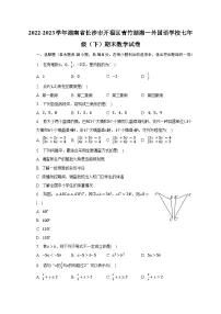2022-2023学年湖南省长沙市开福区青竹湖湘一外国语学校七年级(下)期末数学试卷(含解析)
