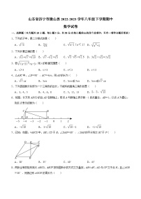 山东省济宁市微山县2022-2023学年八年级下学期期中数学试卷（含答案）