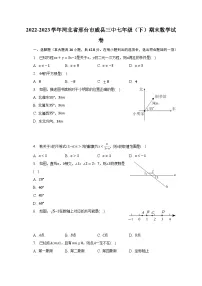 2022-2023学年河北省邢台市威县三中七年级（下）期末数学试卷（含解析）