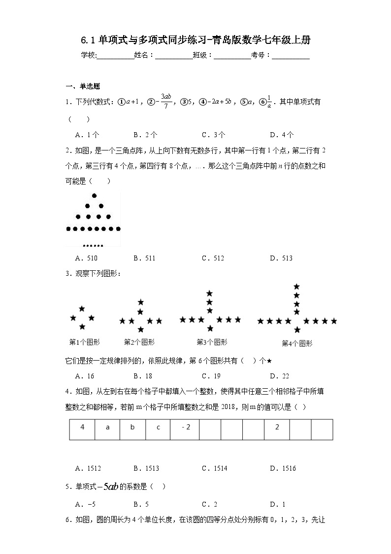 6.1单项式与多项式同步练习-青岛版数学七年级上册01