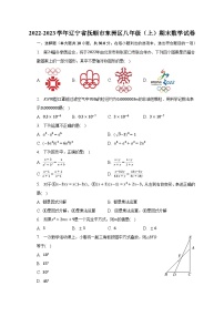 2022-2023学年辽宁省抚顺市东洲区八年级（上）期末数学试卷（含解析）