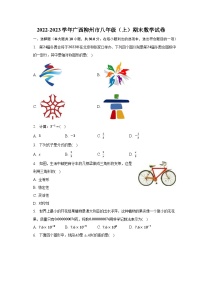2022-2023学年广西柳州市八年级（上）期末数学试卷（含解析）