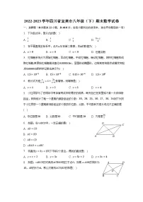 2022-2023学年四川省宜宾市八年级(下)期末数学试卷(含解析)