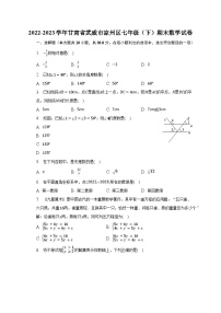 2022-2023学年甘肃省武威市凉州区七年级（下）期末数学试卷（含解析）