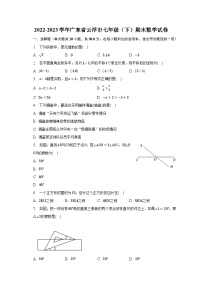2022-2023学年广东省云浮市七年级（下）期末数学试卷（含解析）