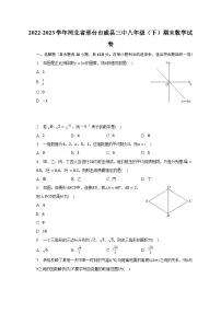 2022-2023学年河北省邢台市威县三中八年级（下）期末数学试卷（含解析）