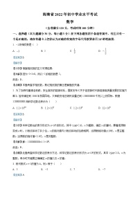 2022年海南省中考數(shù)學(xué)真題（解析版）