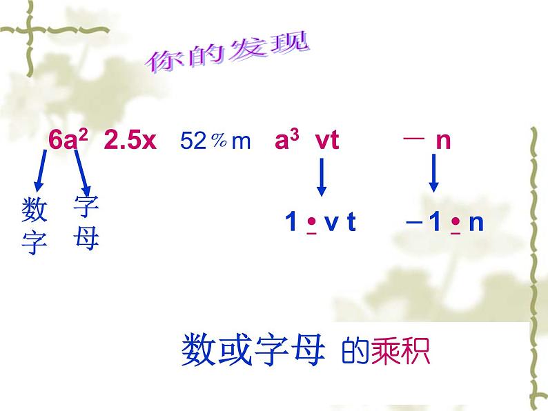 2.1单项式课件PPT03