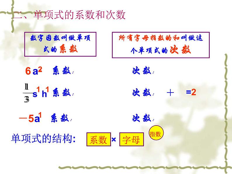 2.1单项式课件PPT05