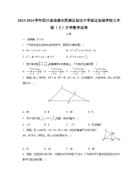 四川省成都市武侯區(qū)棕北中學(xué)西區(qū)實驗學(xué)校2023-2024學(xué)年上學(xué)期九年級開學(xué)數(shù)學(xué)試卷