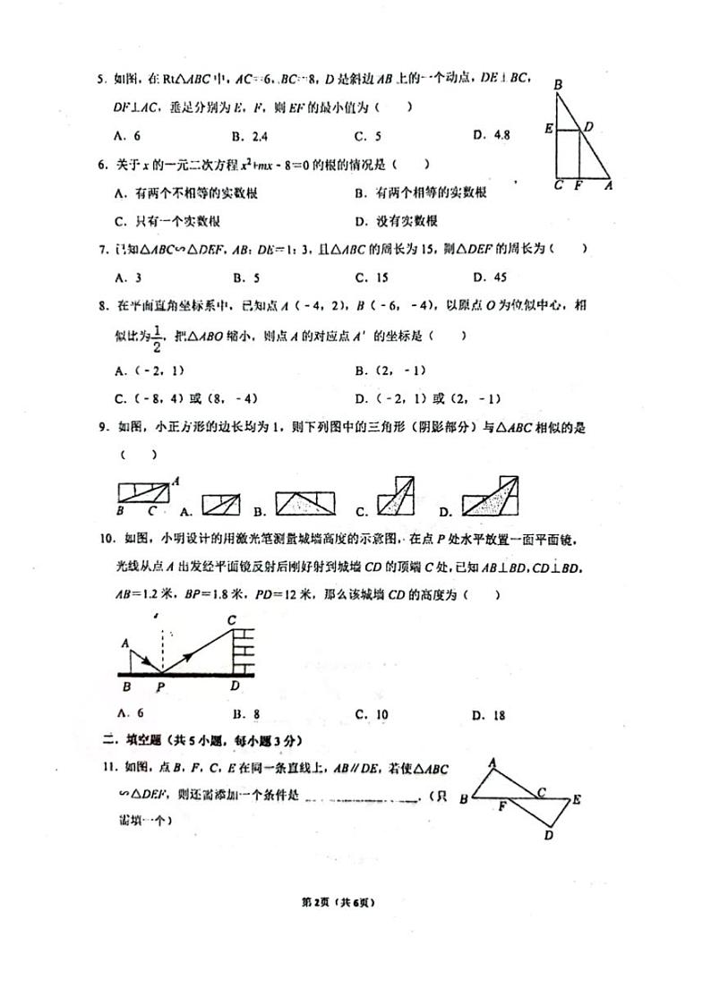 2023-2024学年河南省实验中学九年级上学期开学考数学试卷及答案第2页