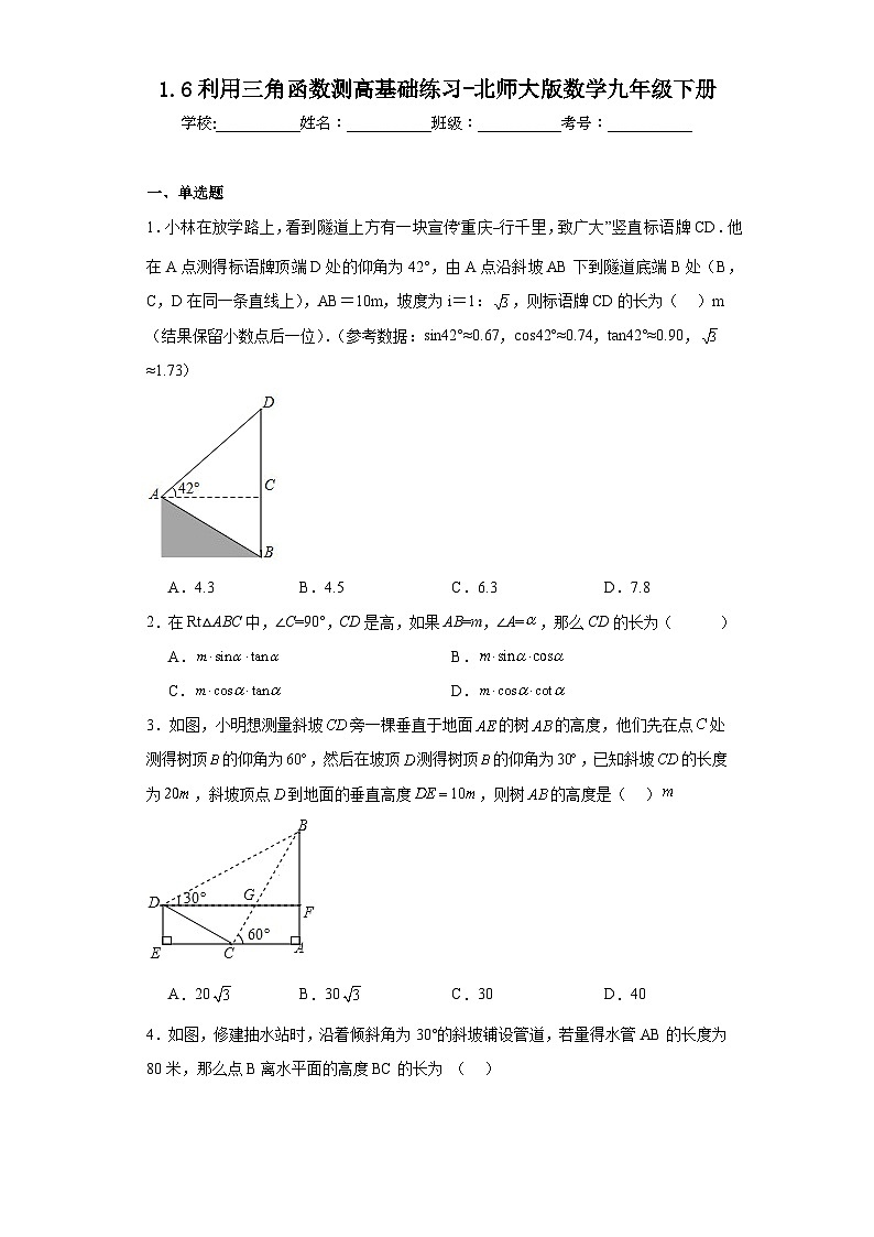 1.6利用三角函数测高基础练习-北师大版数学九年级下册01