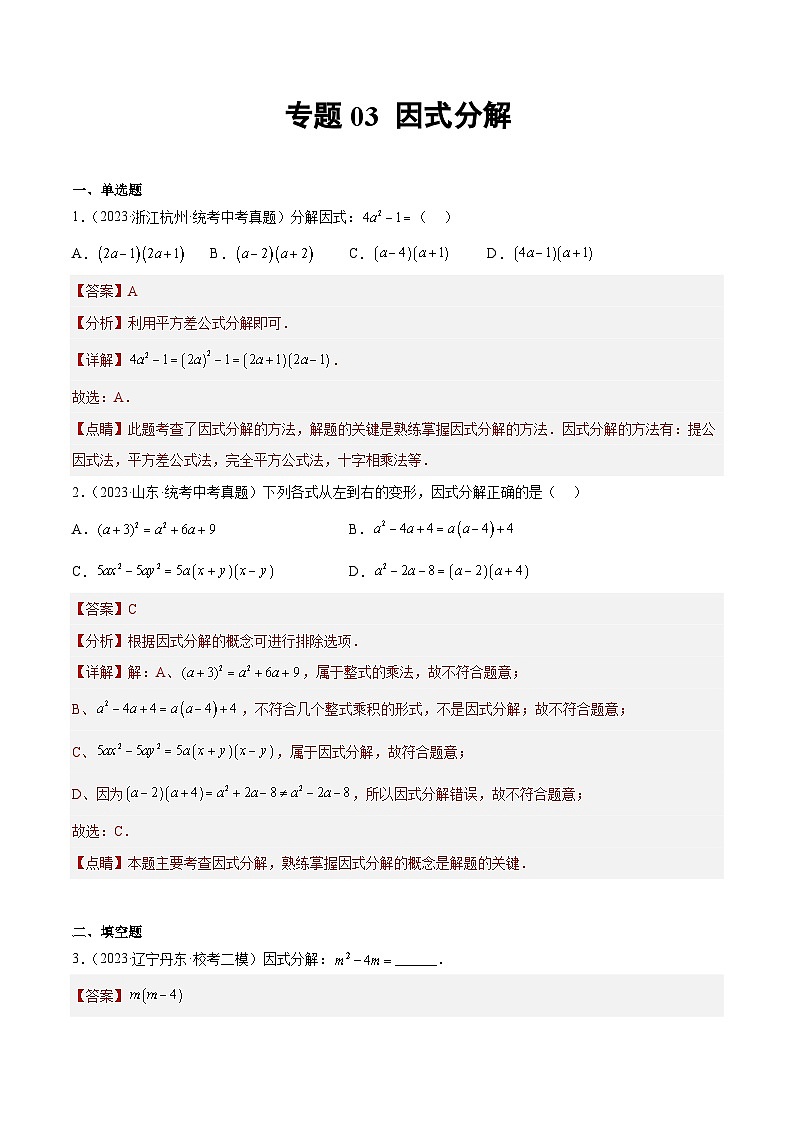 2023-2024年中考专题03 因式分解(解析版)第1页