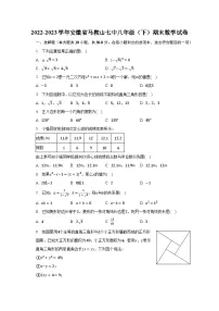 2022-2023学年安徽省马鞍山七中八年级(下)期末数学试卷(含解析)