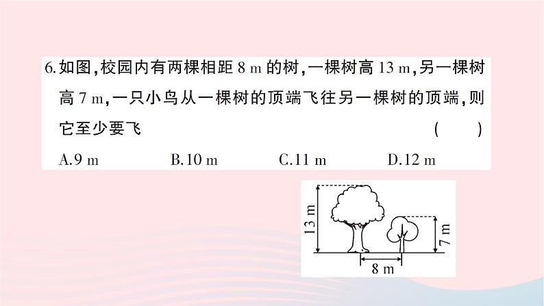 2023八年级数学上册第一章勾股定理综合训练作业课件新版北师大版06