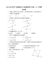 2023-2024学年广东省惠州市小金茂峰学校八年级（上）开学数学试卷（含解析）