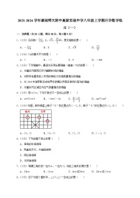 湖南師大附中高新實(shí)驗(yàn)中學(xué)2023-2024學(xué)年八年級上學(xué)期開學(xué)數(shù)學(xué)練習(xí)(一)(含答案)