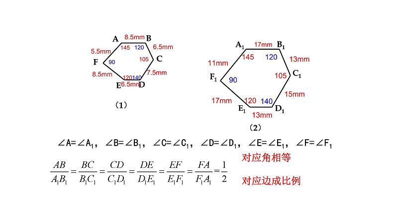 4.3 相似多边形课件PPT第2页