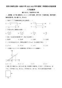 貴州省貴陽(yáng)市南明區(qū)南明區(qū)第一實(shí)驗(yàn)中學(xué)2022-2023學(xué)年八年級(jí)下學(xué)期期末數(shù)學(xué)試題