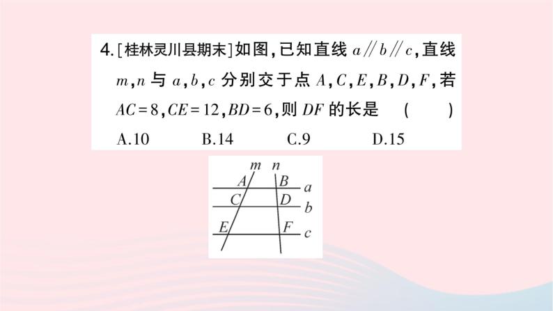 2023九年级数学上册第3章图形的相似3.2平行线分线段成比例作业课件新版湘教版05