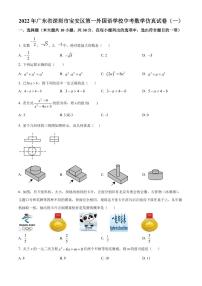 2022年广东省深圳市宝安区第一外国语学校中考数学仿真试卷（一） （原卷及解析版）