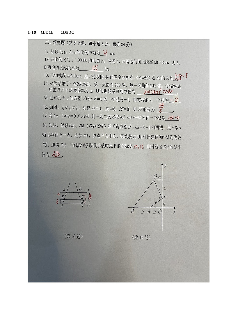 江苏省宜兴市树人中学教育集团2023-2024学年九年级上学期第一次(月考)调研数学试卷01