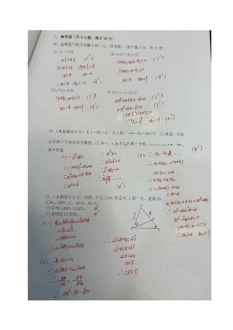江苏省宜兴市树人中学教育集团2023-2024学年九年级上学期第一次(月考)调研数学试卷02