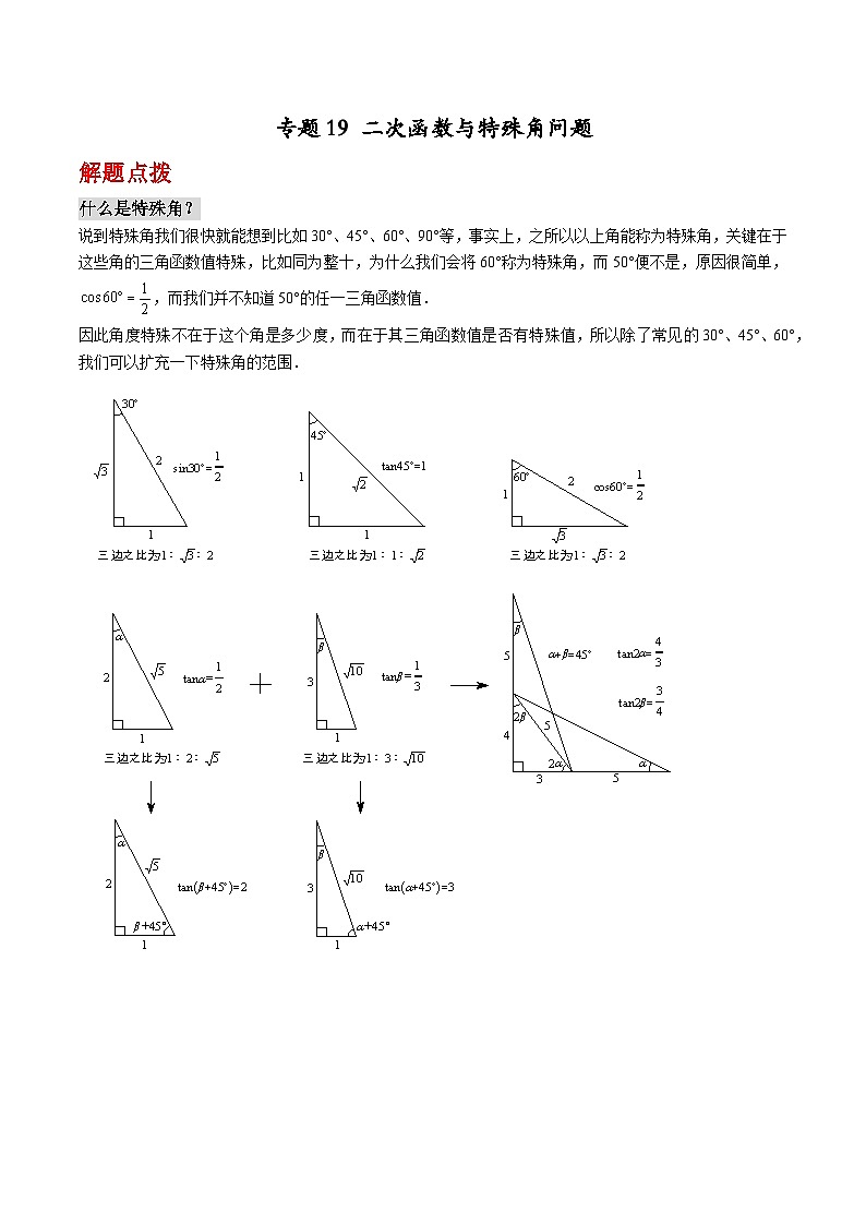 专题19 二次函数与特殊角问题(解析版)第1页