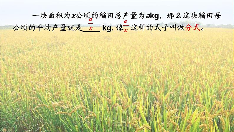 湘教版八上数学第1章分式1.1分式第1课时分式的概念课件02