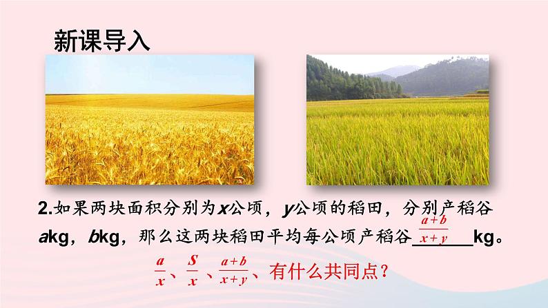 湘教版八上数学第1章分式1.1分式第1课时分式的概念课件04