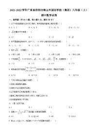 精品解析:廣東省深圳市南山區(qū)南山外國(guó)語(yǔ)學(xué)校(集團(tuán))濱海學(xué)校2021-2022學(xué)年八年級(jí)上學(xué)期期中數(shù)學(xué)試題