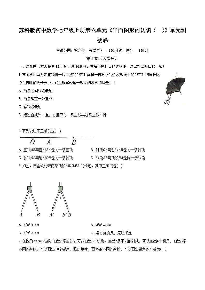 苏科版初中数学七年级上册第六单元《平面图形的认识(一)》单元测试卷(较易)(含答案解析)01