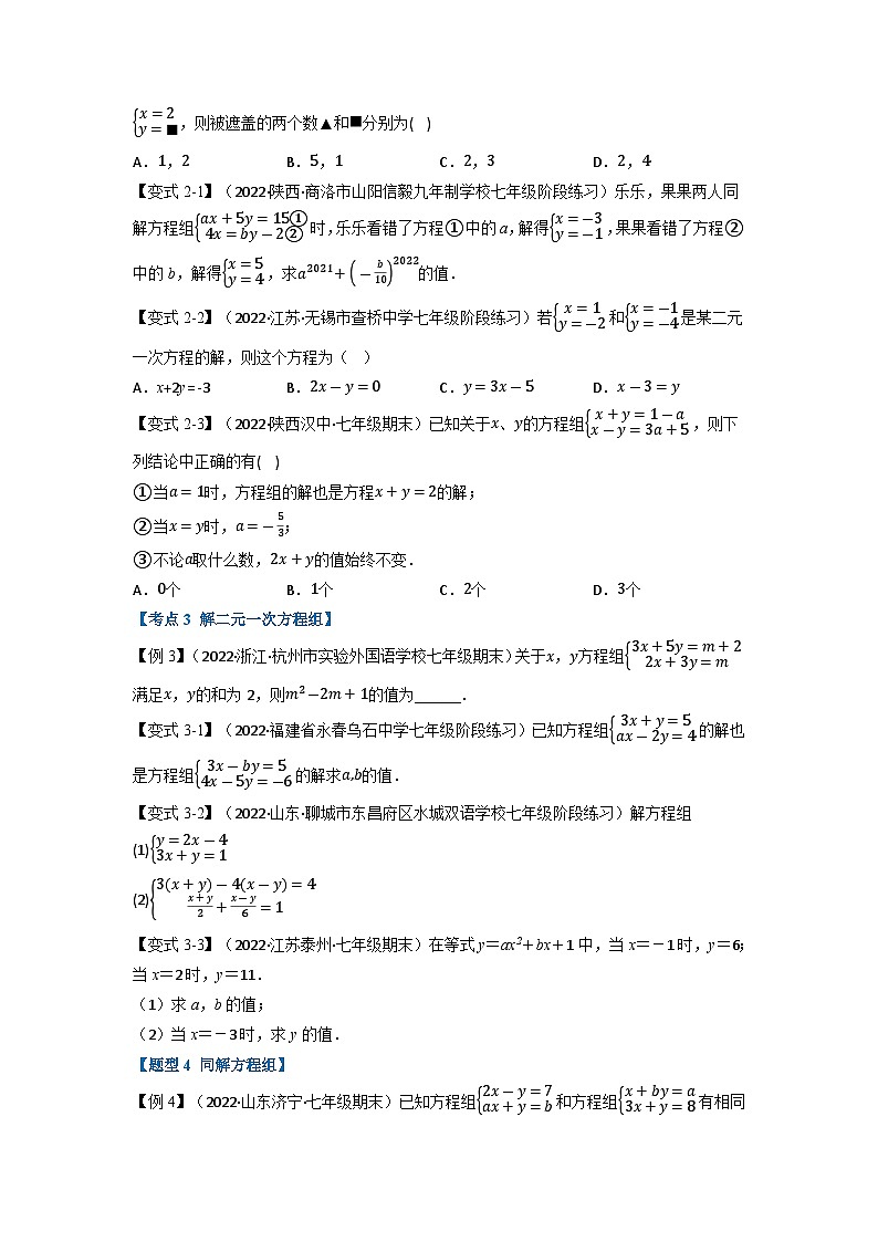 2024年七年级数学下册专题11.5 期末专项复习之二元一次方程组十四大必考点(举一反三)(人教版)(原卷版)第2页