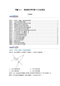 2024年七年级数学下册专题11.1 期中期末专项复习之相交线与平行线十八大必考点（举一反三）（人教版）（原卷版+解析卷）