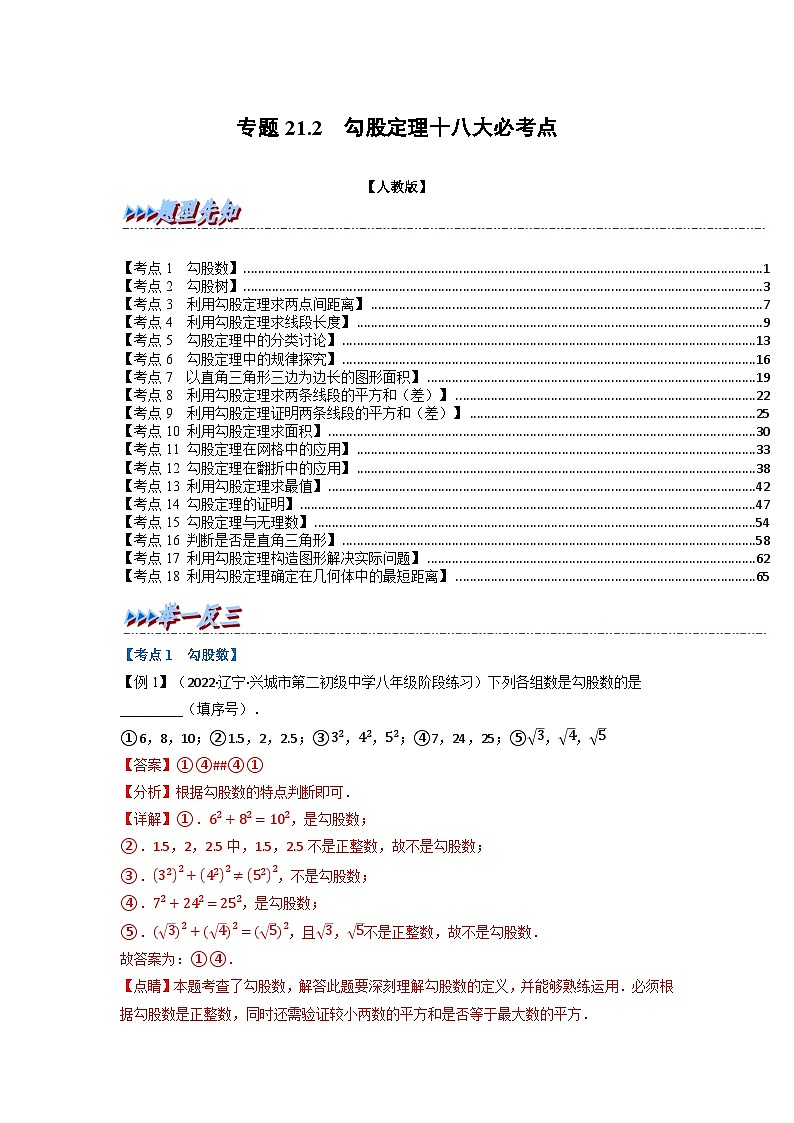 2024年八年级数学下册专题21.2 期中期末专项复习之勾股定理十八大必考点(举一反三)(人教版)(解析版)第1页