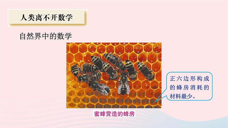 2023七年级数学上册第1章走进数学世界1.1走进数学世界第1课时数学与生活课件(华东师大版)第7页