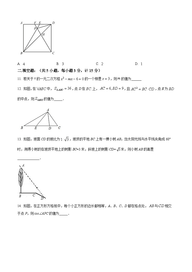 精品解析:广东省深圳市龙岗区东升学校2022-2023学年九年级上学期期末考试数学试卷(原卷版)第3页