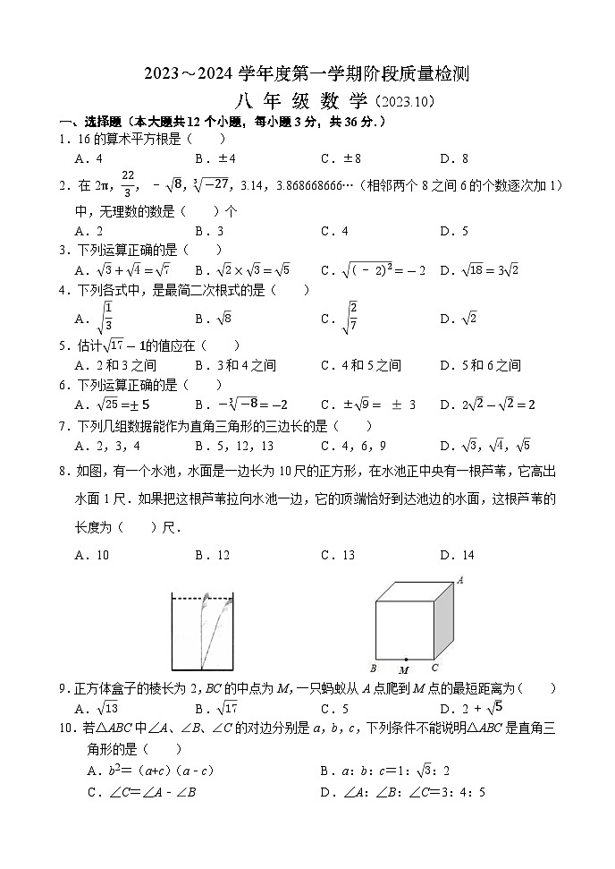 山东省济南兴济中学2023-2024学年八年级上学期数学10月份考试题第1页