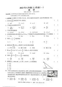 湖南省娄底市双峰县2023-2024学年八年级上学期10月月考数学试题（月考）