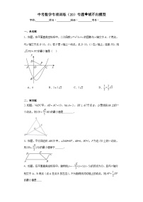 中考数学专项训练（20）专题胡不归模型含解析答案