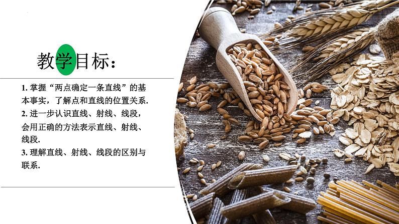 4.2+直线、射线、线段(第1课时)认识直线、射线、线段(教学课件)七年级数学上册同步备课系列(人教版)第2页