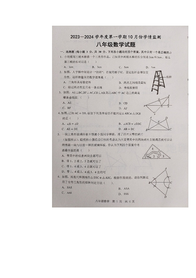 山东省济宁市金乡县2023-2024学年上学期八年级数学10月月考试题第1页