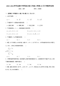 江苏省南京市金陵中学河西分校2023~2024学年八年级上学期10月月考数学试卷（月考）