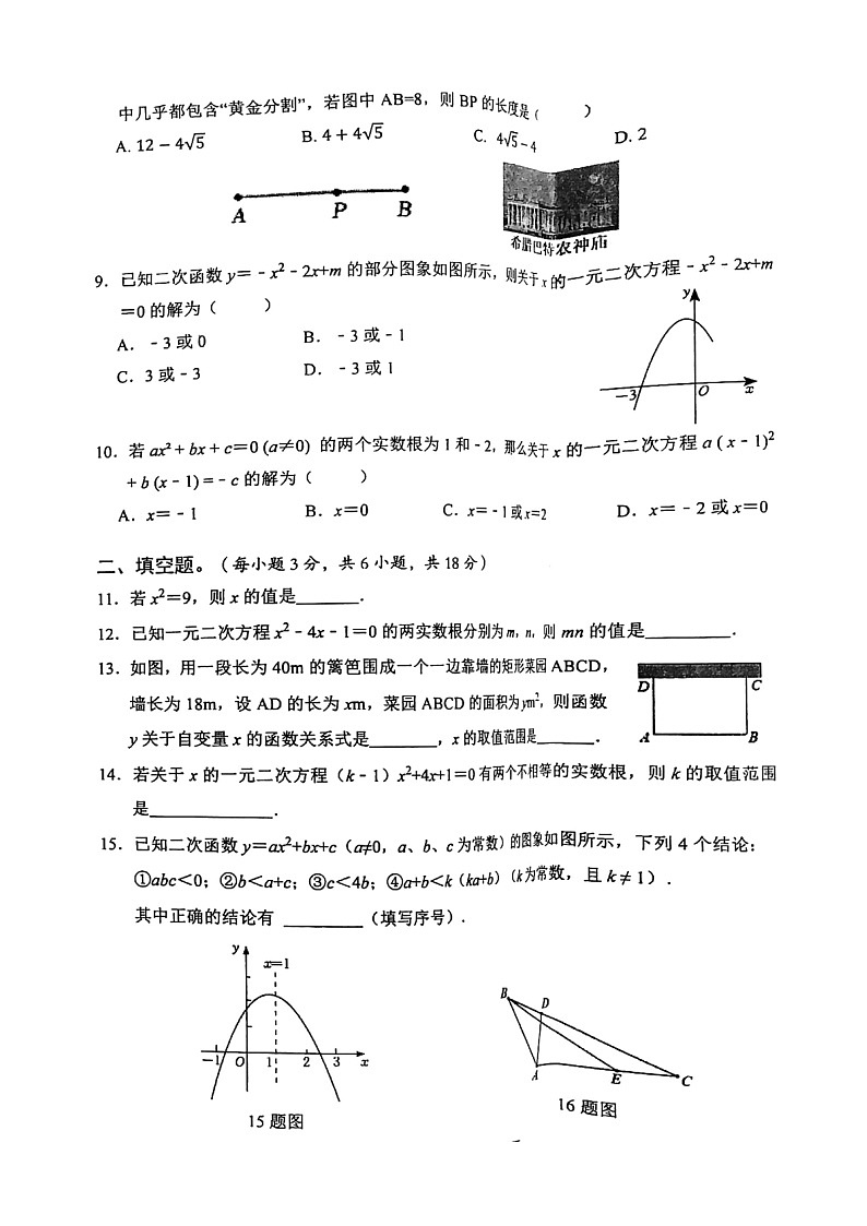 湖北省武汉市东西湖区2023-2024学年九年级上学期10月月考数学试卷(月考)第2页