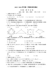 江苏省南京市民办求真中学2023-2024学年九年级上学期10月月考数学试题（月考）